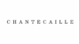 Chantecaille Coupons and Deals